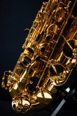 画像4: XYZ - Tenor Pro (4)