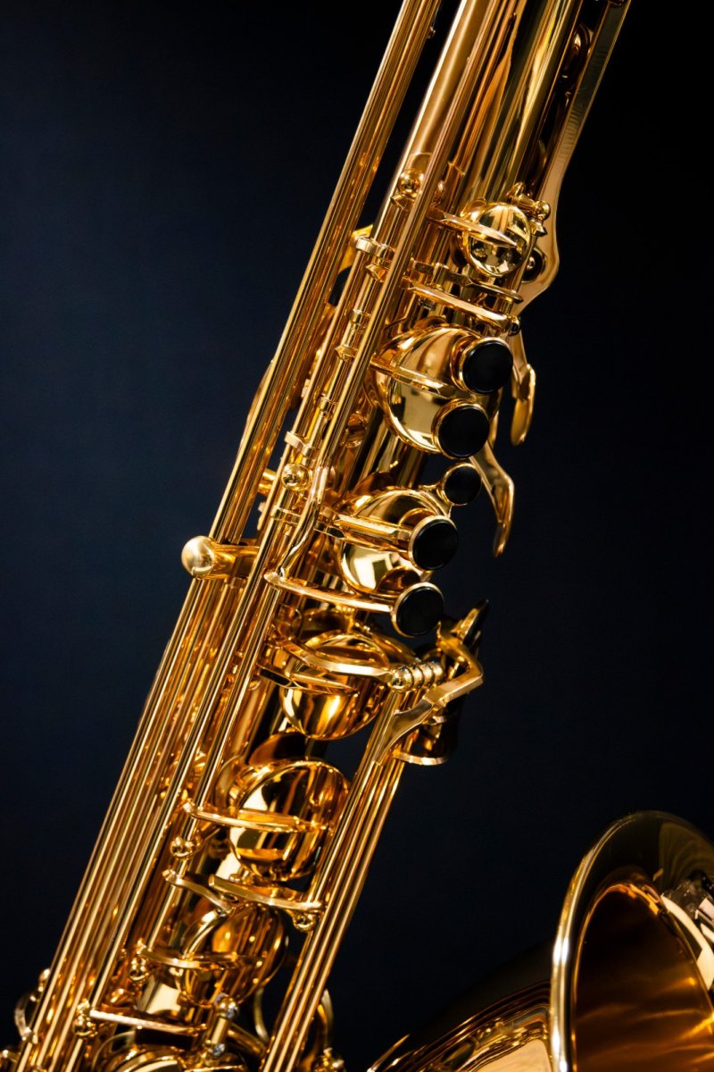 画像5: XYZ - Tenor Pro (5)