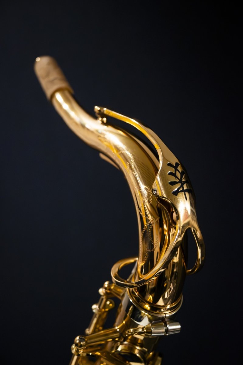 画像6: XYZ - Tenor Pro (6)