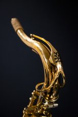 画像6: XYZ - Tenor Pro (6)