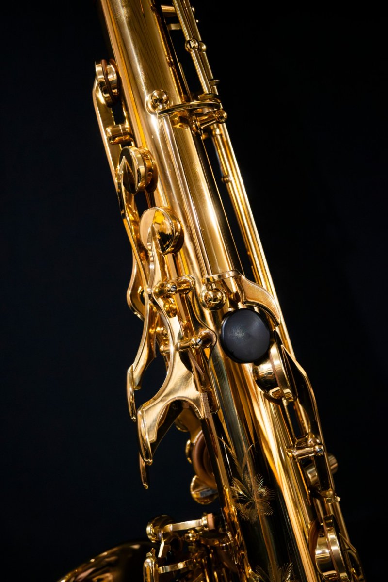 画像7: XYZ - Tenor Pro (7)