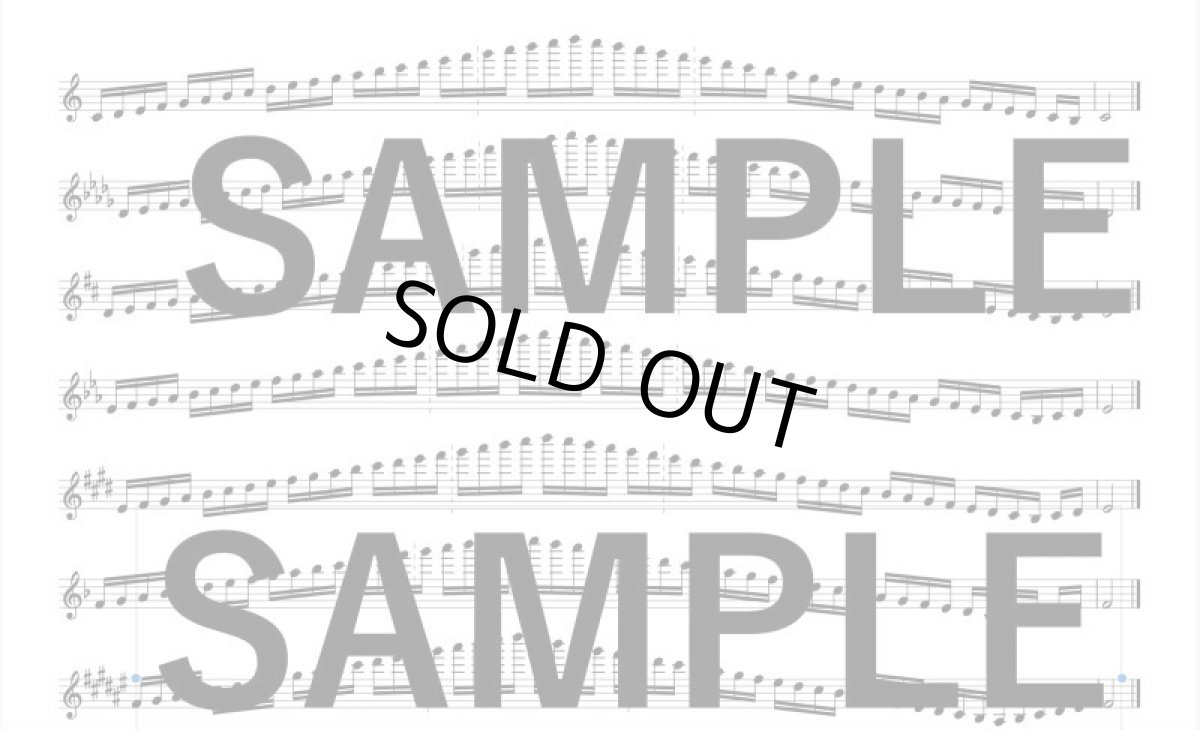 画像4: Vol.3 Crazy Virtuoso【冊子版】Perfect Scale for Saxophone (4)