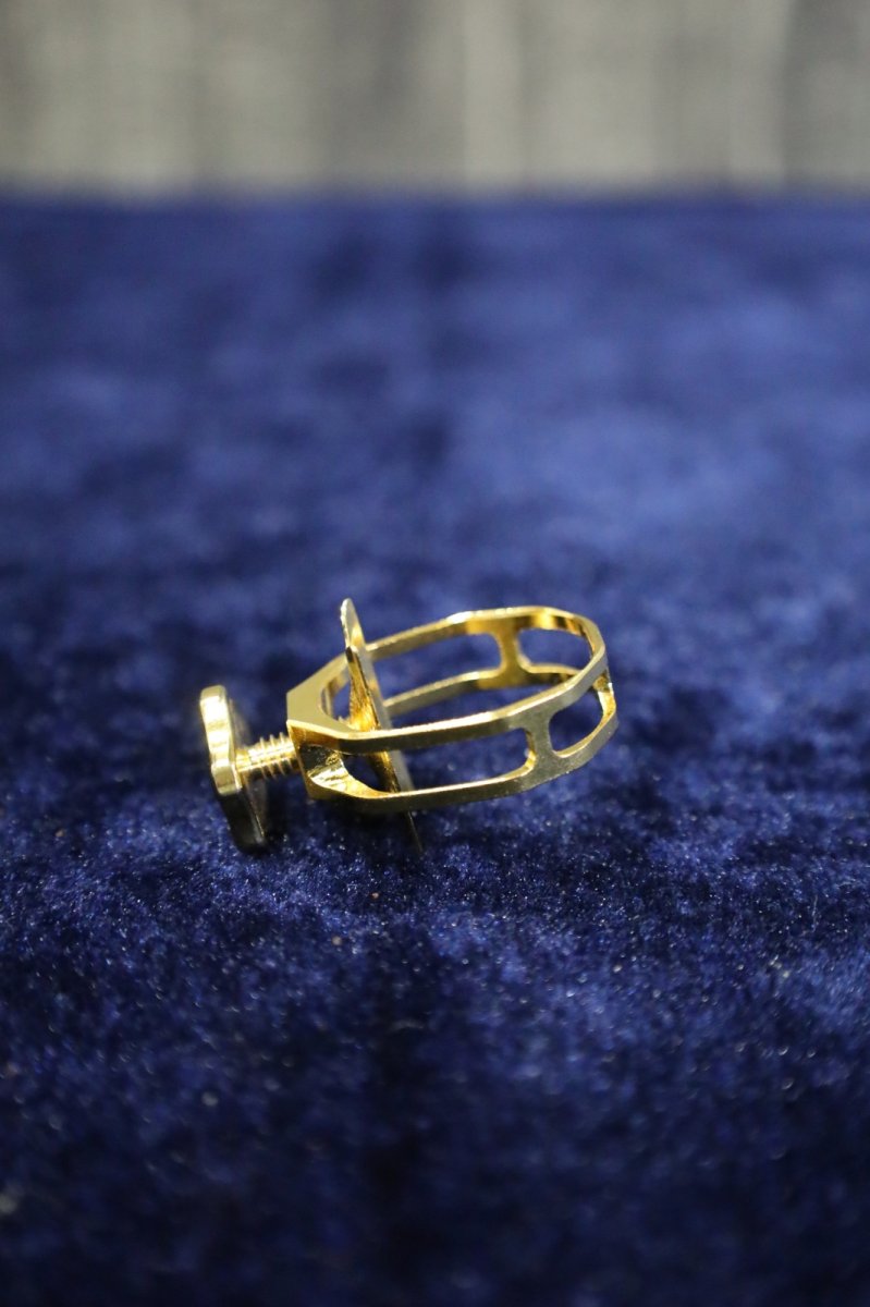 画像11: Theo Wanne DURGA5 #6 A.Sax.用 (11)