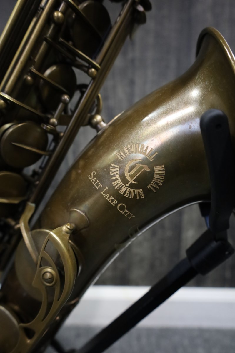 画像3: Cannonball TVR-BR"Brute" (3)