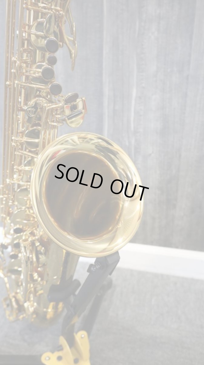 画像10: Canonnball T-keyL Tenor (10)