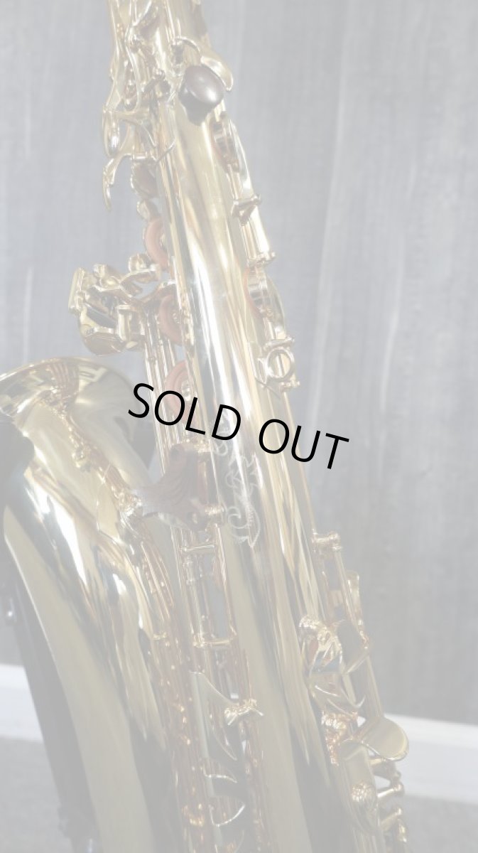 画像7: Canonnball T-keyL Tenor (7)