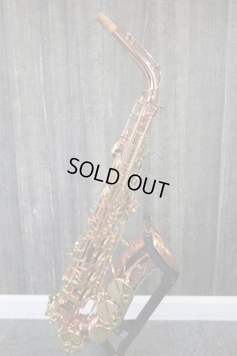 画像2: Buffet Crampon SENZO (2)