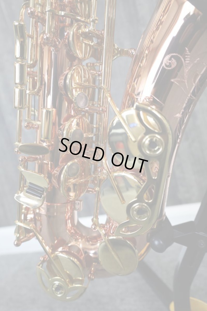 画像4: Buffet Crampon SENZO (4)