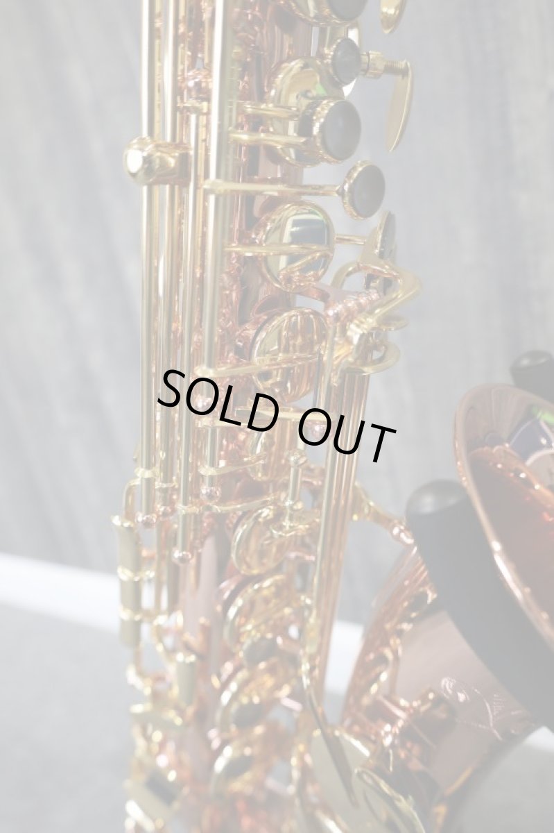 画像5: Buffet Crampon SENZO (5)