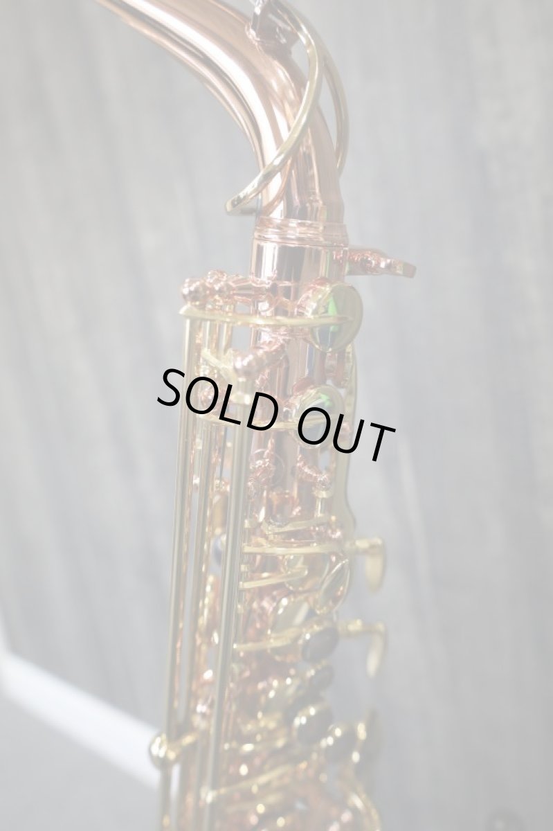 画像6: Buffet Crampon SENZO (6)