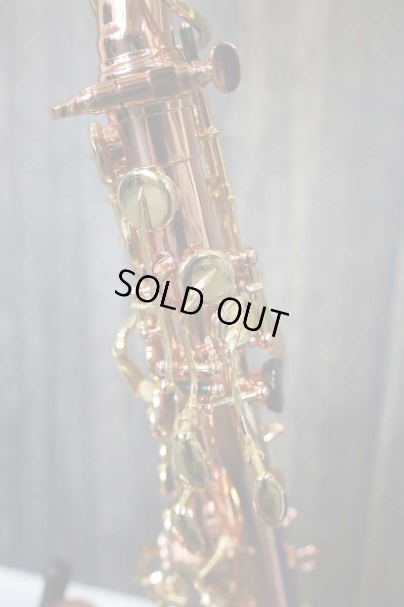 画像8: Buffet Crampon SENZO (8)