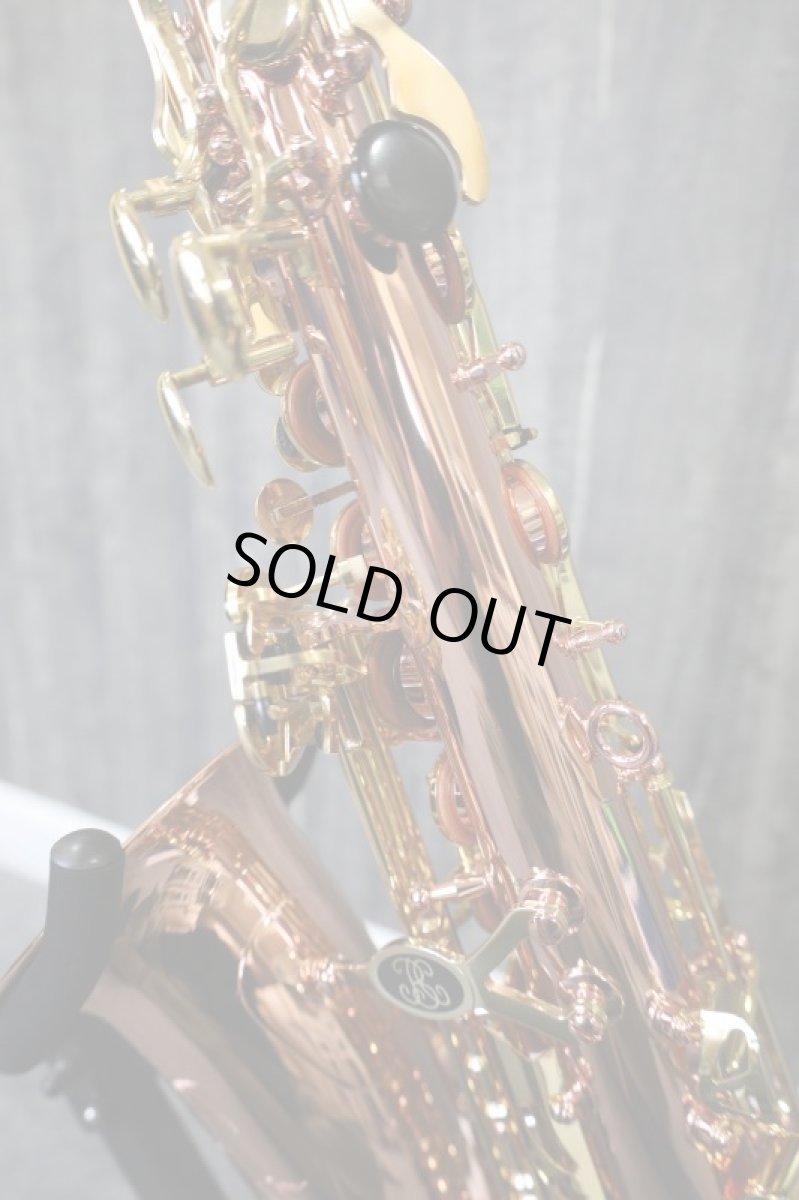 画像10: Buffet Crampon SENZO (10)