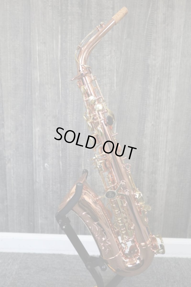 画像9: Buffet Crampon SENZO (9)