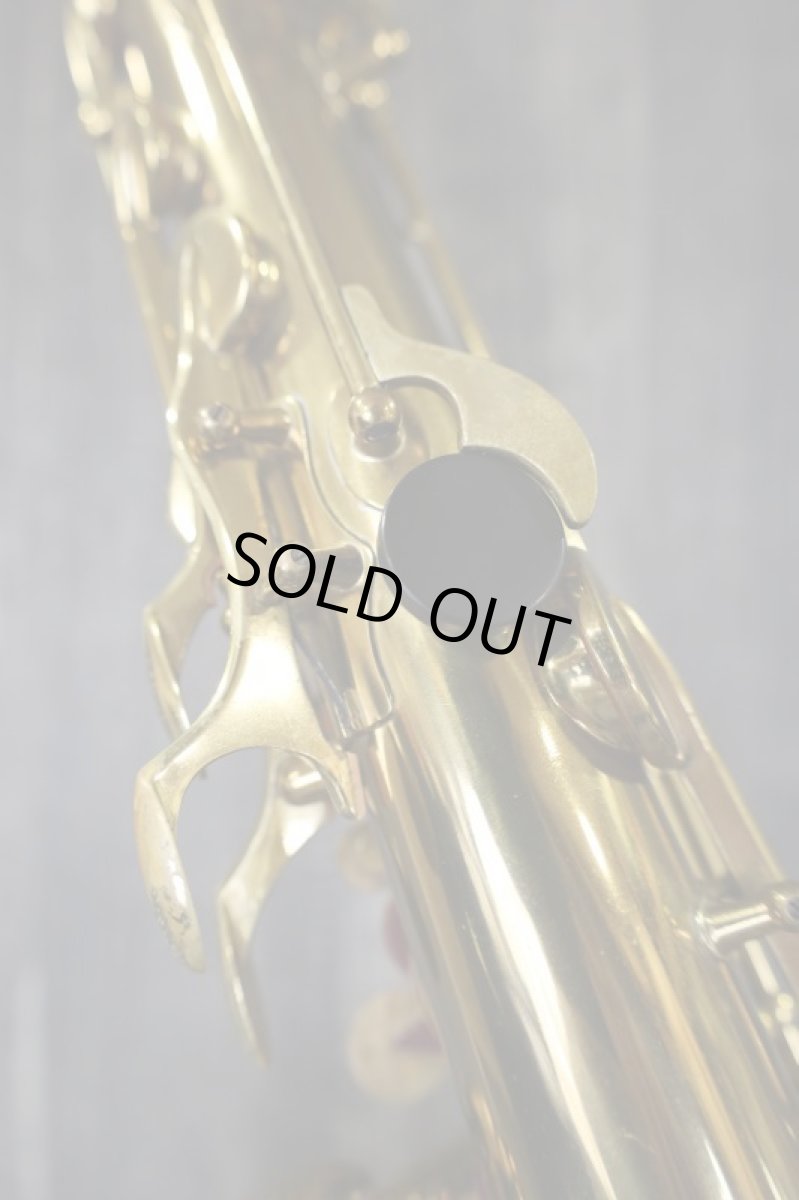 画像13: PROGRESS Tenor (13)