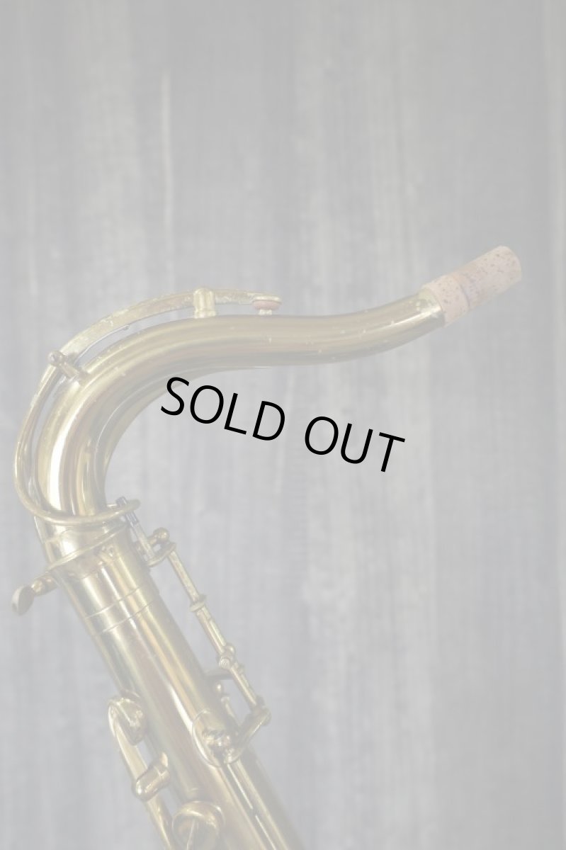 画像14: PROGRESS Tenor (14)