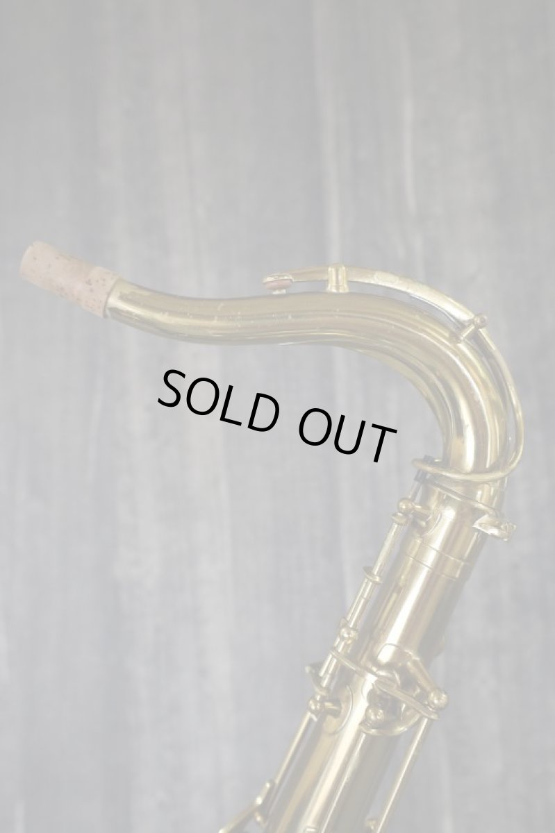 画像15: PROGRESS Tenor (15)