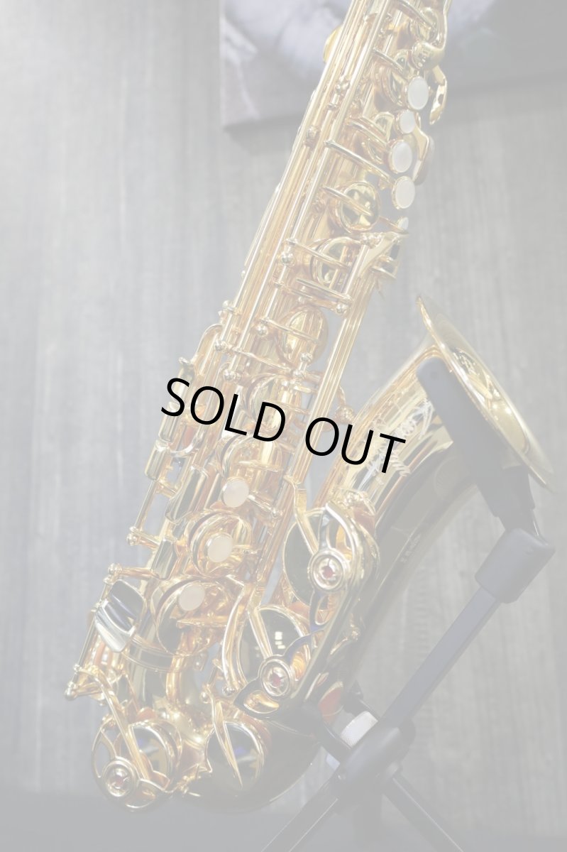 画像2: YAS-875EXG (2)