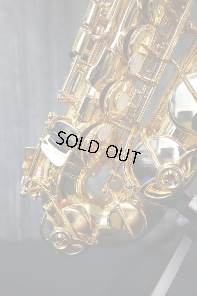 画像5: YAS-875EXG (5)