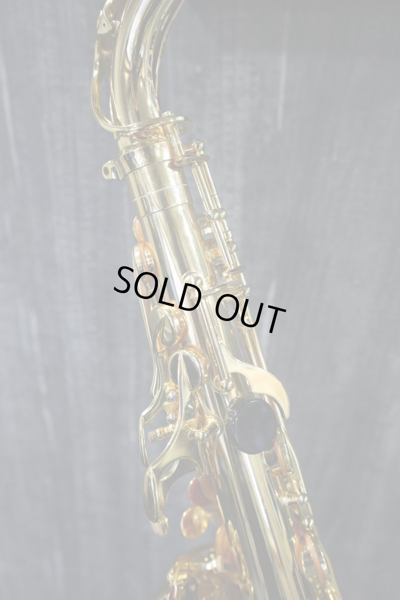 画像10: YAS-875EXG (10)