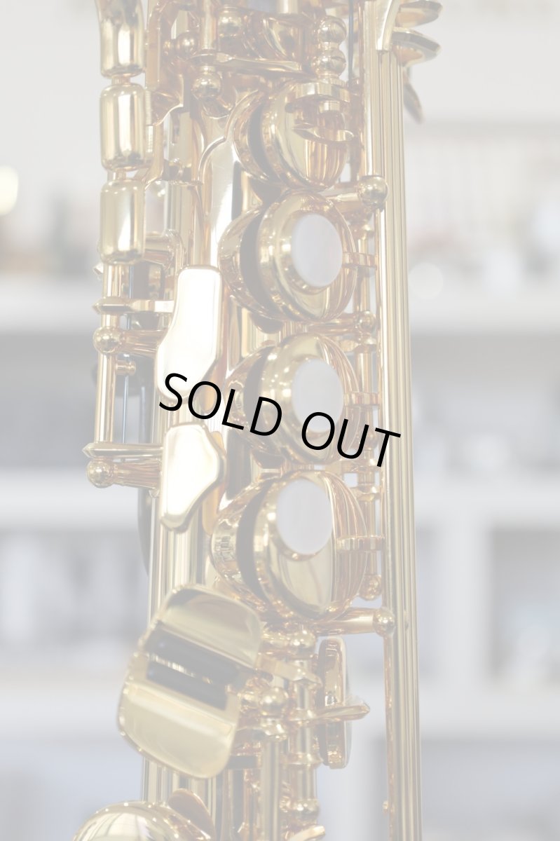 画像5: YAMAHA YSS-875EXG (5)