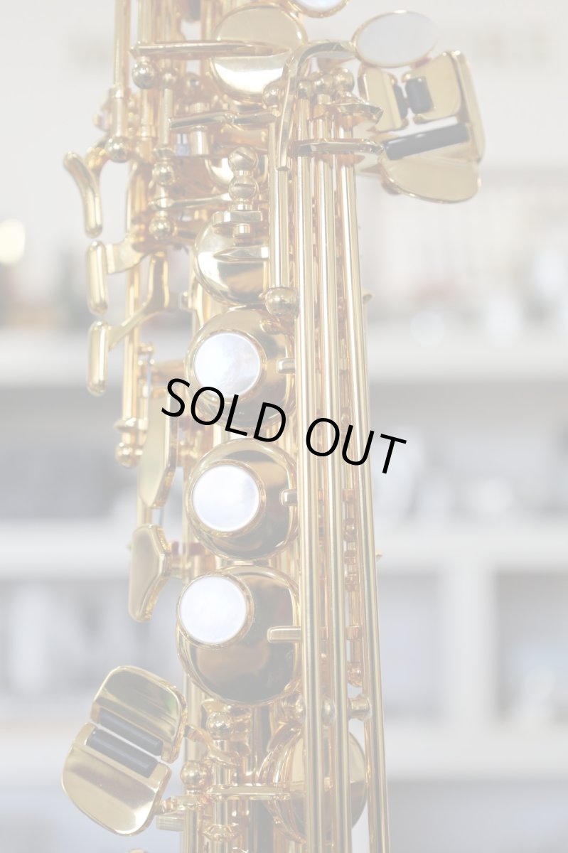 画像6: YAMAHA YSS-875EXG (6)