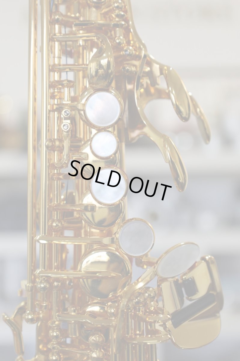 画像7: YAMAHA YSS-875EXG (7)