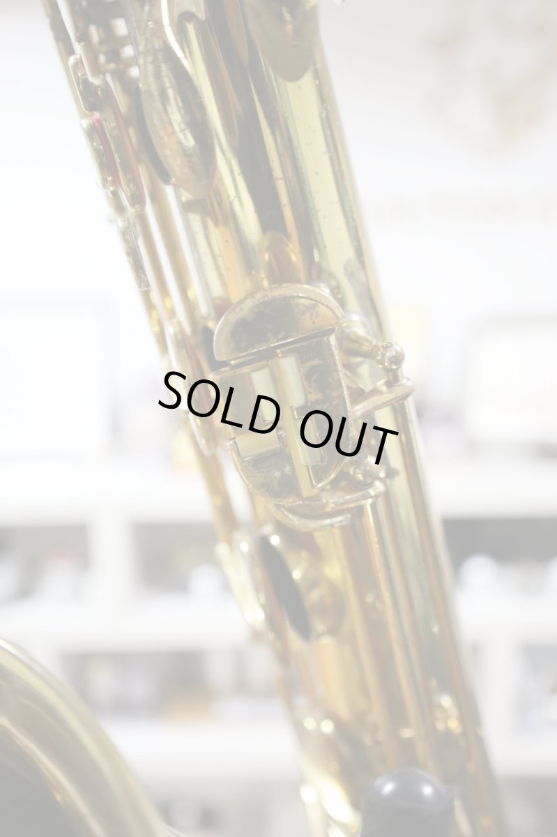 画像15: Martin Committee III (15)