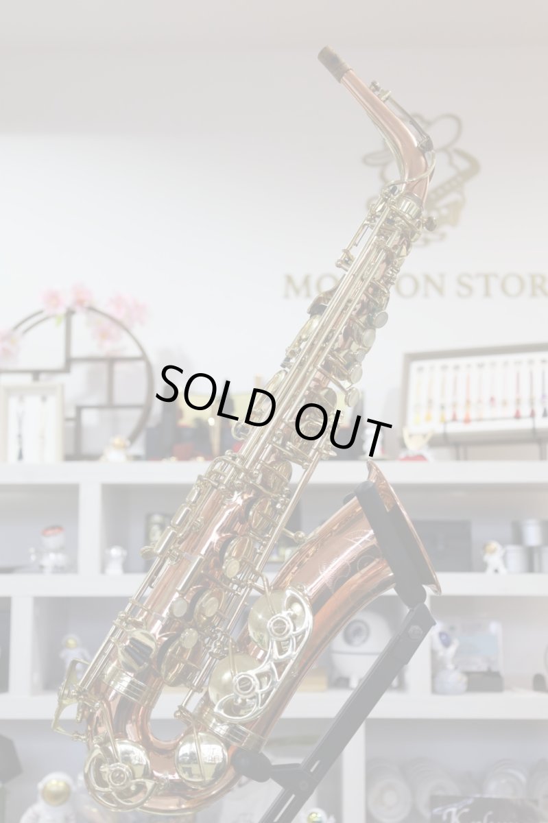 画像2: Buffet Crampon S1 Prestige (2)