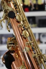 画像9: Buffet Crampon S1 Prestige (9)