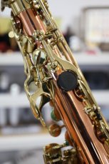 画像17: Buffet Crampon S1 Prestige (17)