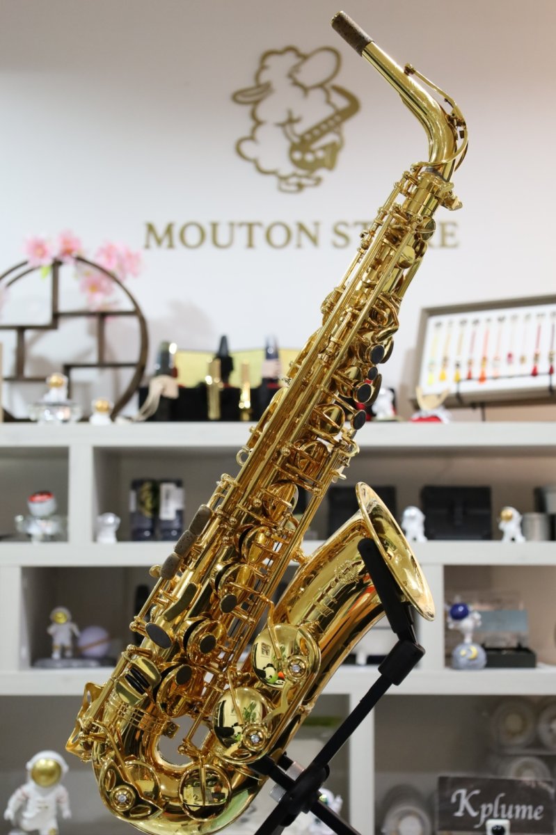 画像2: Selmer SerieIII GP (2)