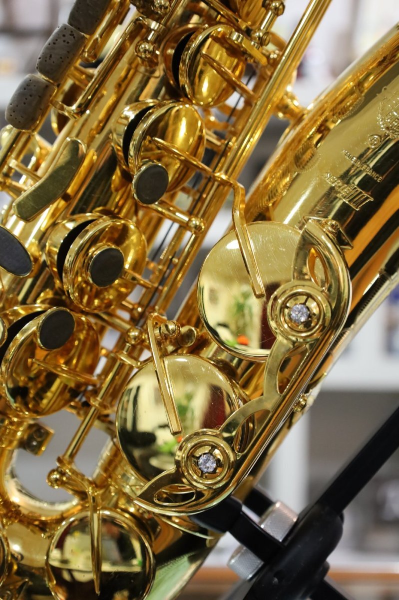 画像5: Selmer SerieIII GP (5)