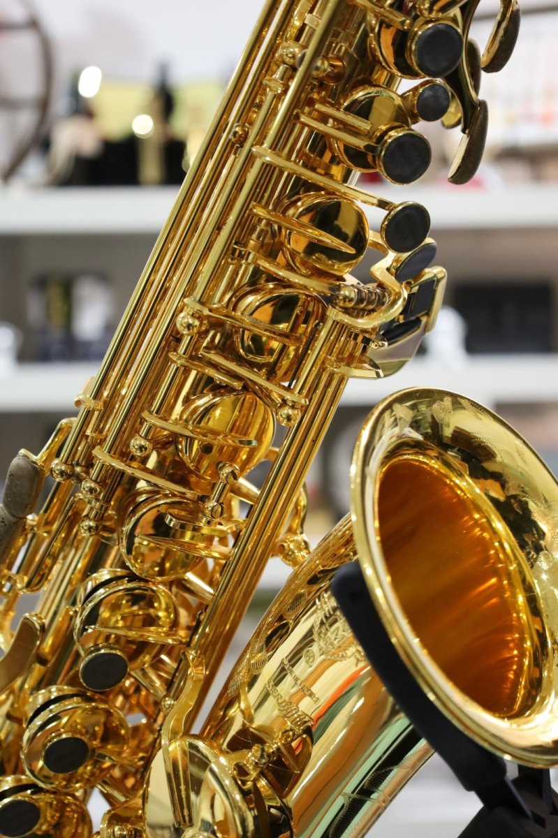 画像8: Selmer SerieIII GP (8)