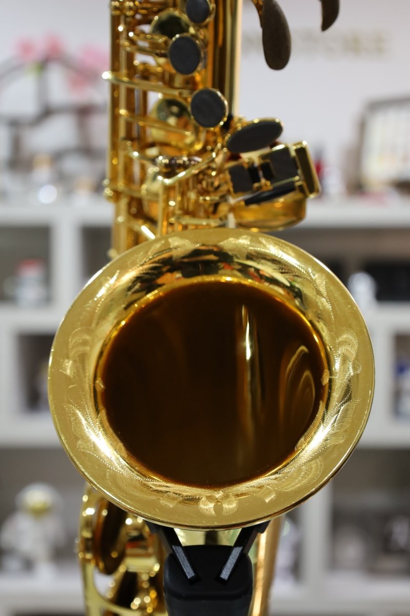 画像10: Selmer SerieIII GP (10)