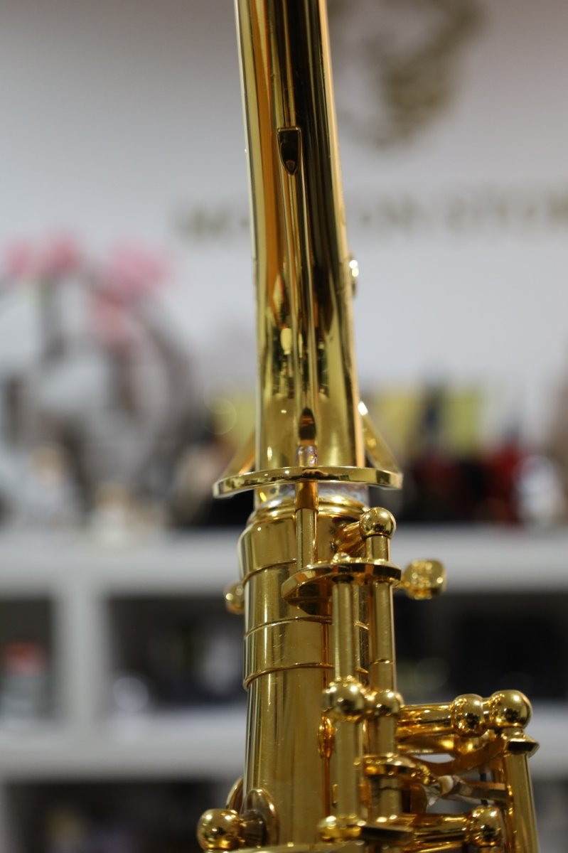 画像18: Selmer SerieIII GP (18)
