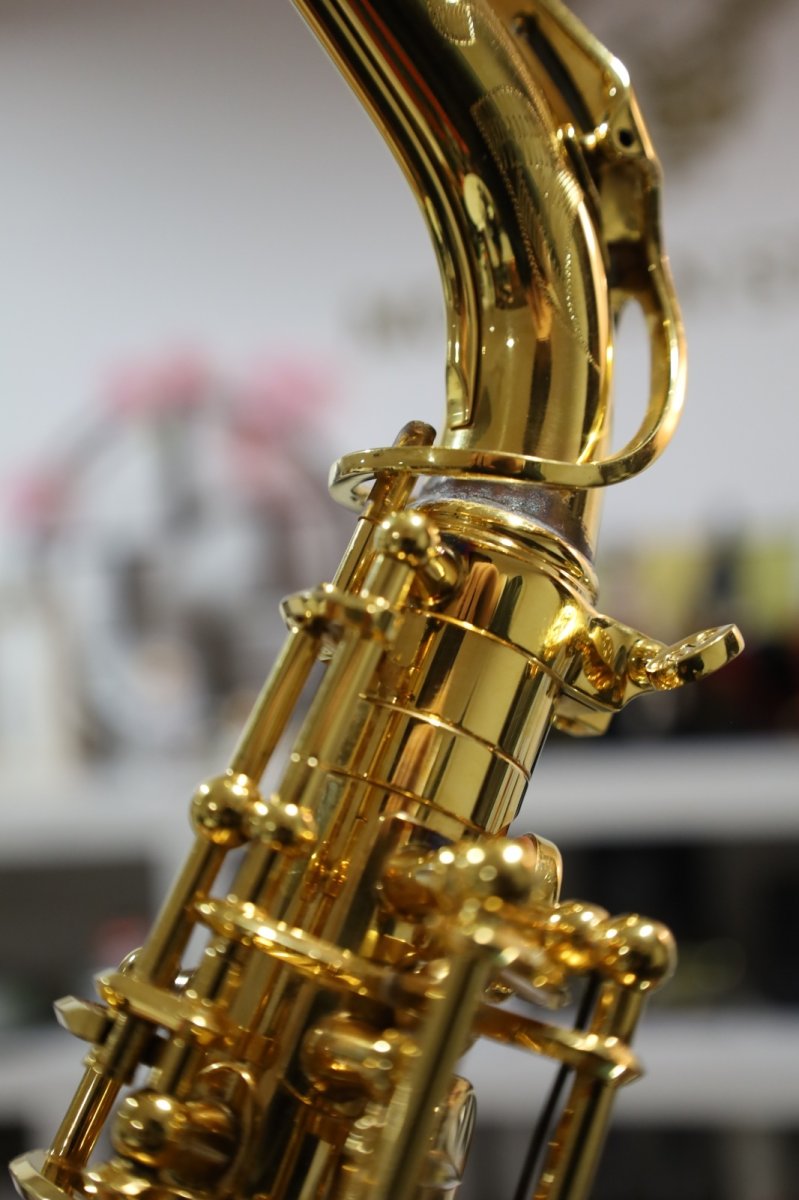 画像19: Selmer SerieIII GP (19)