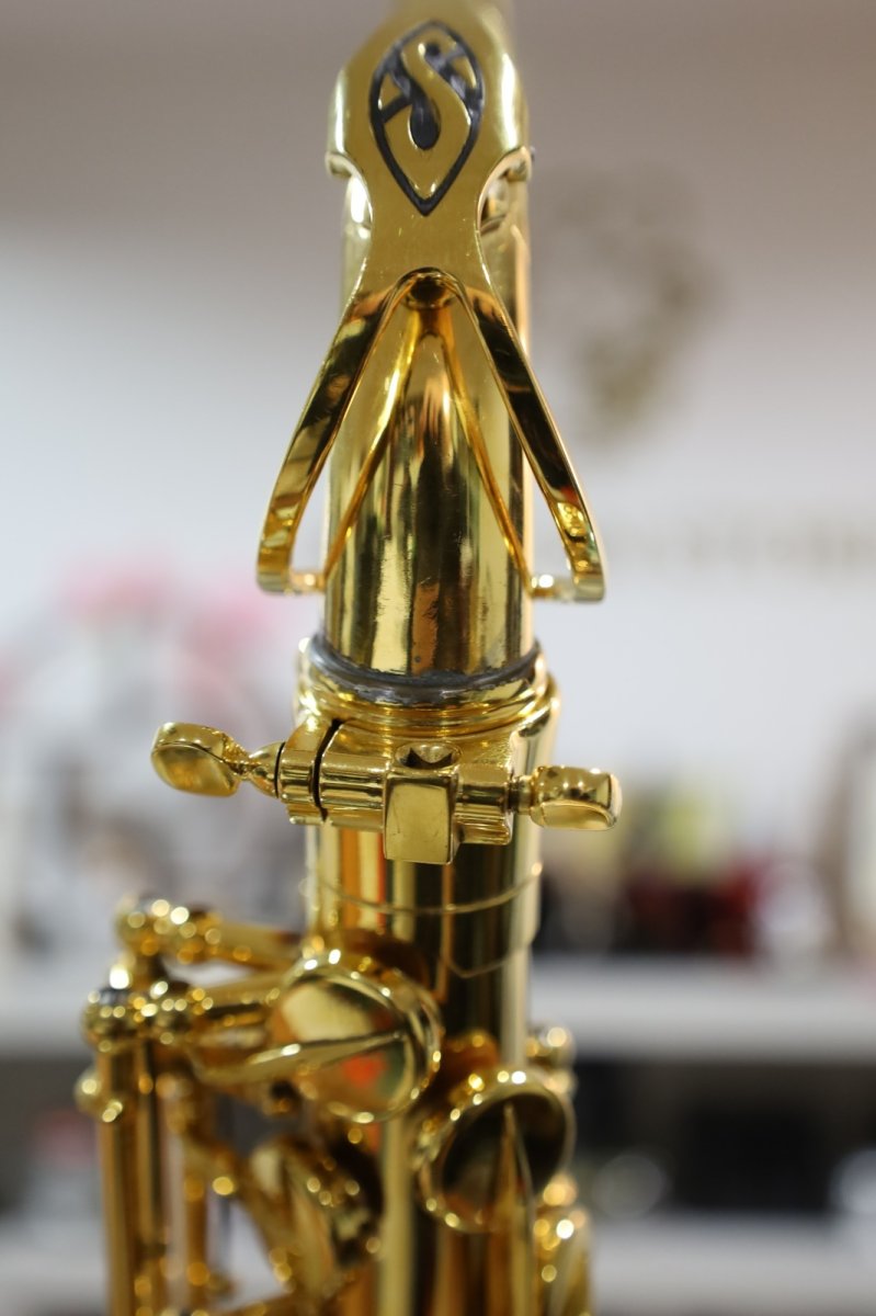 画像21: Selmer SerieIII GP (21)